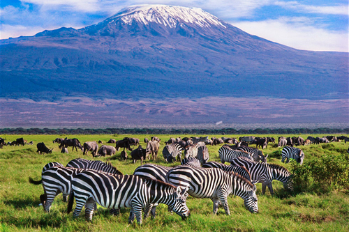 dennsland trekk tours and safaris kenya holidays masai mara